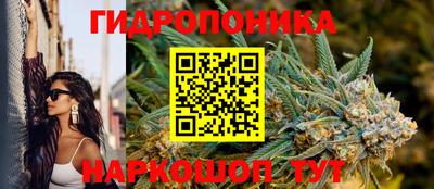 PSILOCYBIN Новозыбков