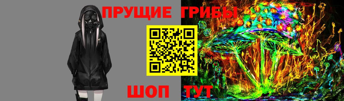 Галлюциногенные грибы Psilocybe  Галлюциногенные грибы Psilocybe  Солнечногорск  Вход с VPN 
